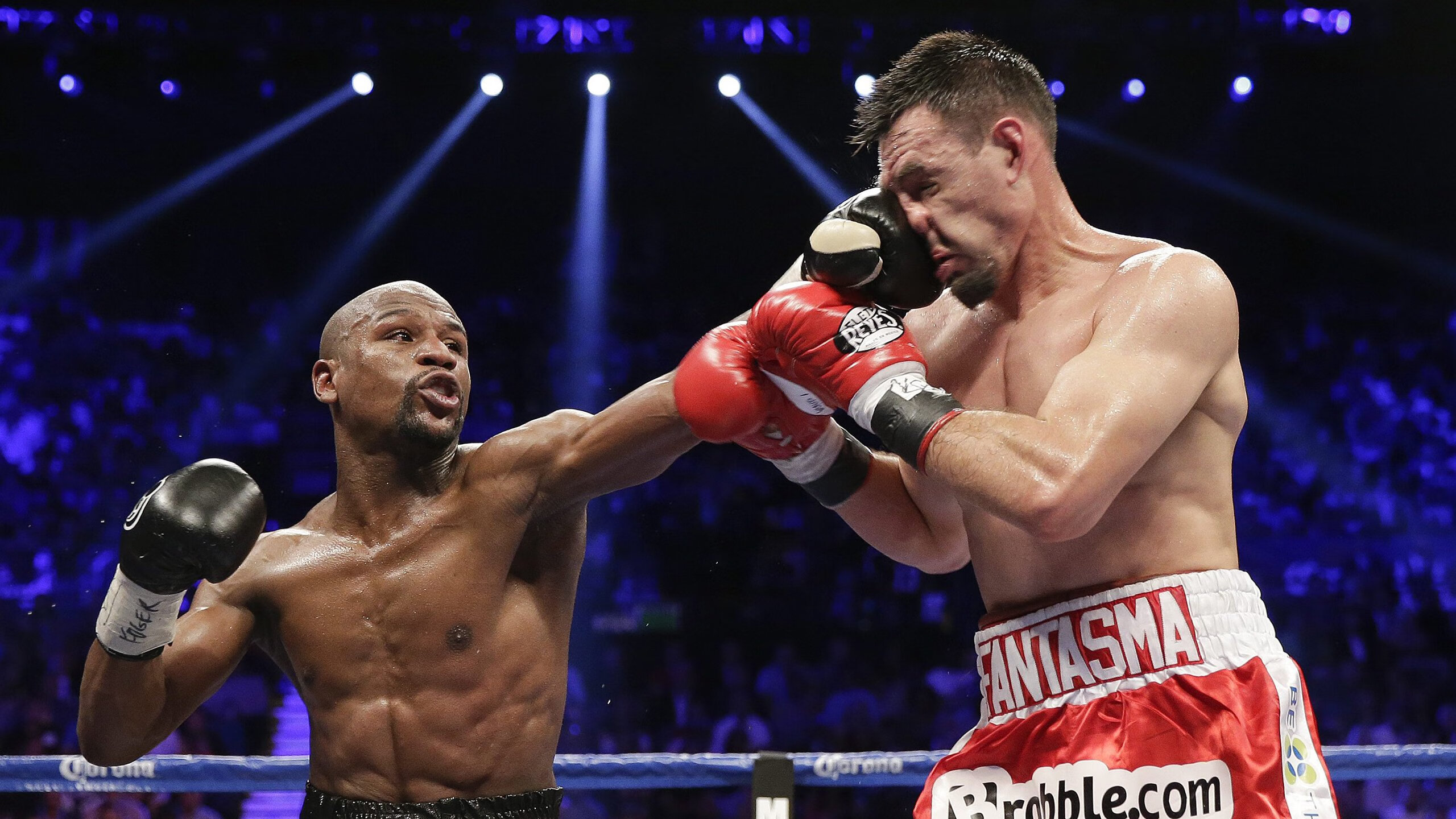 体育文化节精彩活动预告，体育文化节活动方案